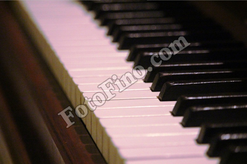 Piano Keys - FotoFino.com