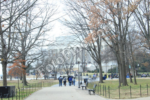 Pathway to the Lincoln Memorial - FotoFino.com
